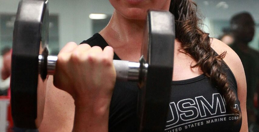 Muscle Development Essentials Muscle Development Essentials